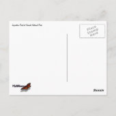 Inspirationspunkt II Postkarte (Rückseite)