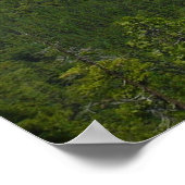 Inspirationspunkt im Yosemite-Nationalpark Poster (Ecke)