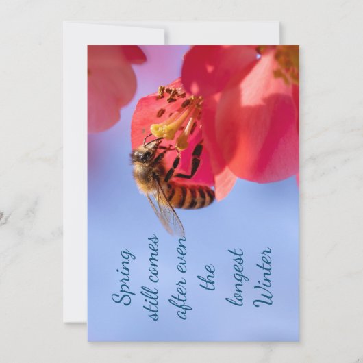 Inspirationsquelle (Vorderseite)