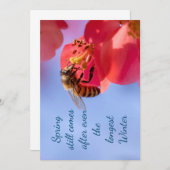 Inspirationsquelle (Vorne/Hinten)