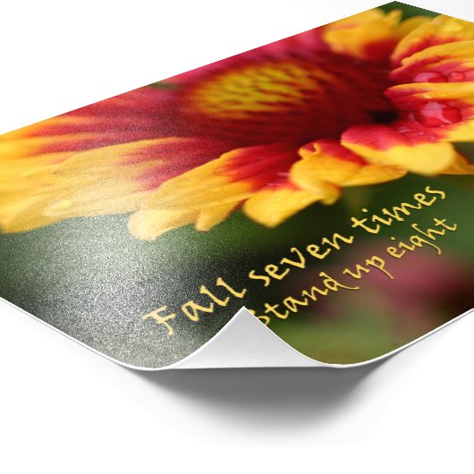 Inspirationssatz farbige Blume Foto (Ecke)