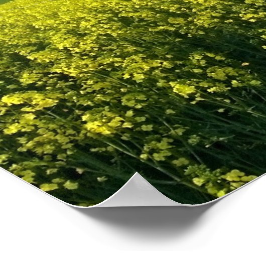 Inspirationssatz von Eleanor Roosevelt Poster (Ecke)