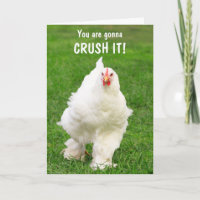 Inspirationssender CRUSH IT-Krebs