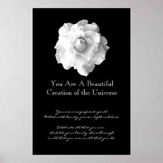 Inspirationsweiße Rose Poster (Vorne)