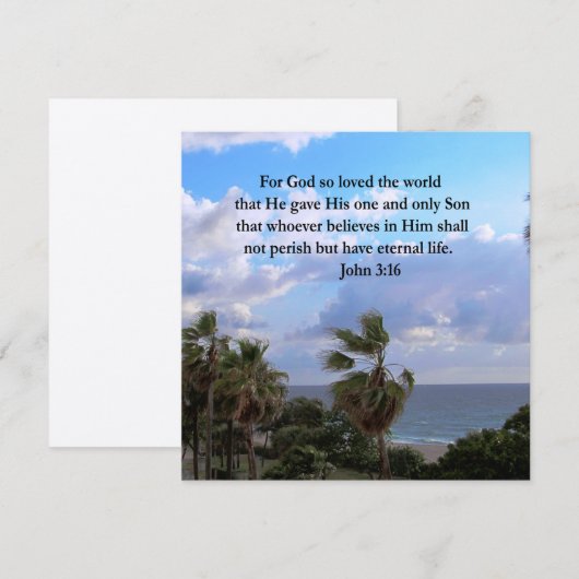 INSPIRIER JOHN 3:16 FOTO (Vorne/Hinten)