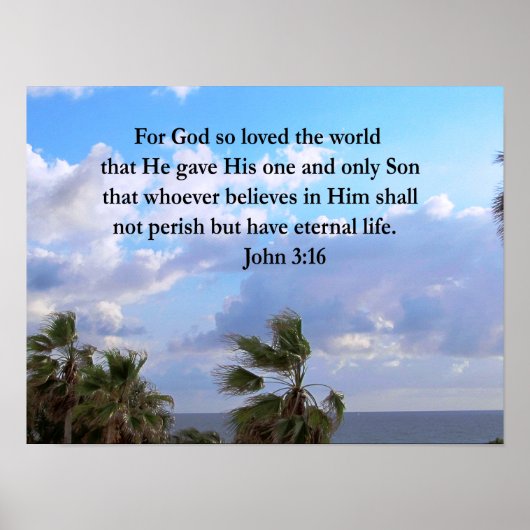 INSPIRIER JOHN 3:16 FOTO POSTER (Vorne)