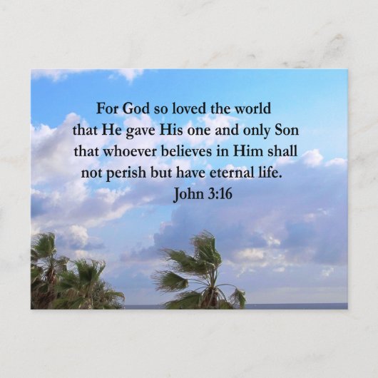 INSPIRIER JOHN 3:16 FOTO POSTKARTE (Vorderseite)