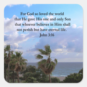 INSPIRIER JOHN 3:16 FOTO QUADRATISCHER AUFKLEBER