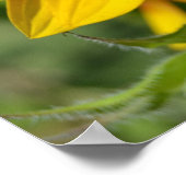 Inspirier Joy Sunflower Poster (Ecke)