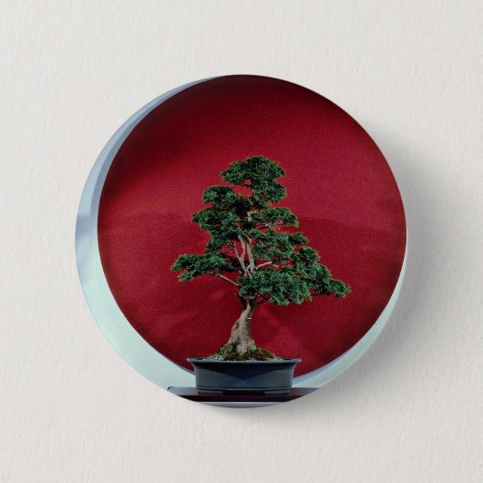 Inspirieren des Bonsaisbaums Button (Vorderseite)