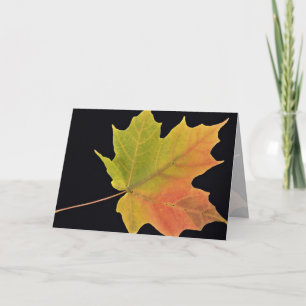 Inspirierend Ahornblatt Karte