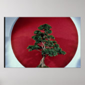 Inspirierend Bonsai-Baum Poster (Vorne)