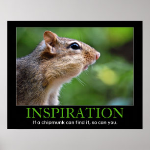 Inspirierend Chipmunk Poster