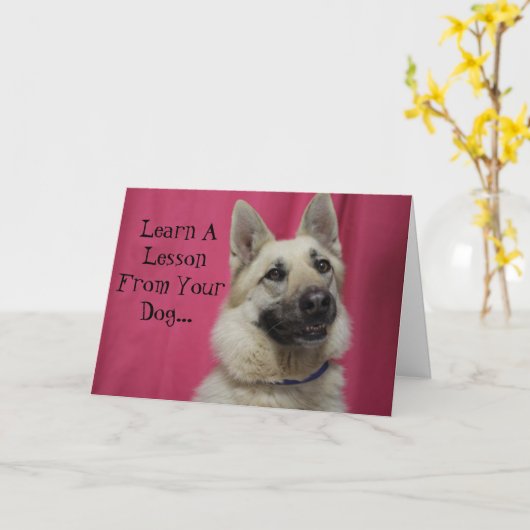 Inspirierend Gruß-Karte für Hundeliebhaber Karte (Gelbe Blume)