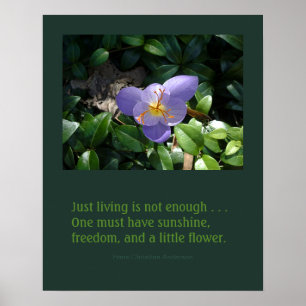 Inspirierend Plakat des Krokusgartens