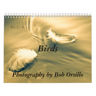 Inspirierend Vogel-Kalender Kalender