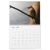 Inspirierend Vogel-Kalender Kalender (Mär 2027)