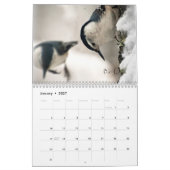 Inspirierend Vogel-Kalender Kalender (Jan 2027)