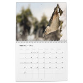 Inspirierend Vogel-Kalender Kalender (Feb 2027)