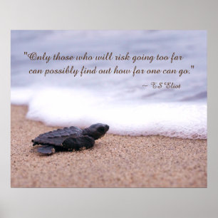 Inspirierend Zitat Baby Sea Turtle Sand Ocean Poster