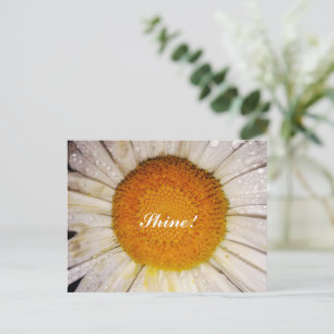 Inspirierende Daisy mit Tautropfen - Leuchte! Postkarte
