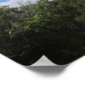 Inspirierender Chef Poster (Ecke)