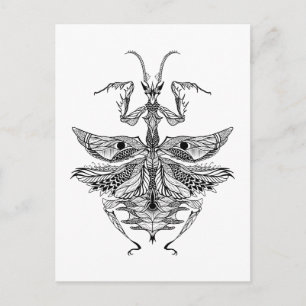 Inspiriert Praying Mantis Postkarte