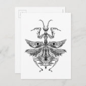 Inspiriert Praying Mantis Postkarte (Vorne/Hinten)