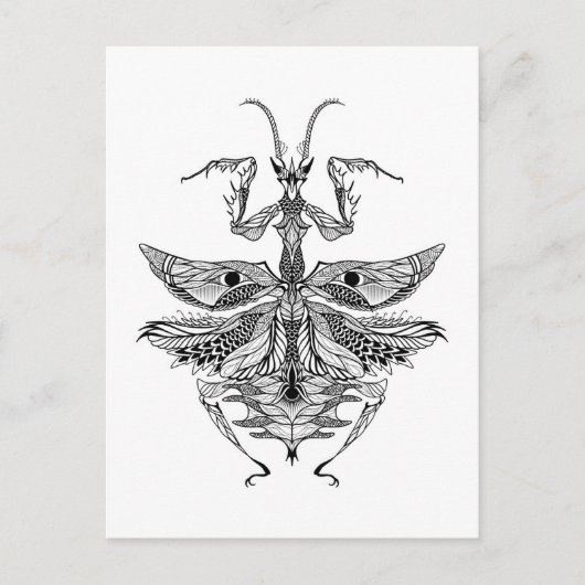 Inspiriert Praying Mantis Postkarte (Vorderseite)
