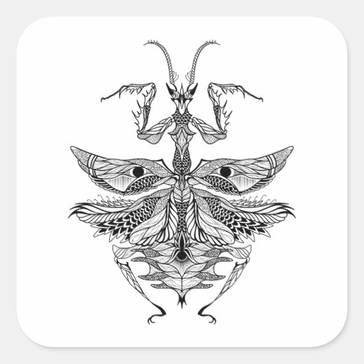 Inspiriert Praying Mantis Quadratischer Aufkleber (Vorderseite)