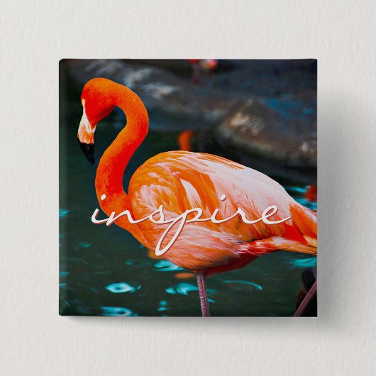 Inspiriert Script Rosa Flamingo Foto Modernes Stil Button (Vorderseite)