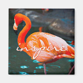 Inspiriert Script Rosa Flamingo Foto Modernes Stil Magnet (Vorne)