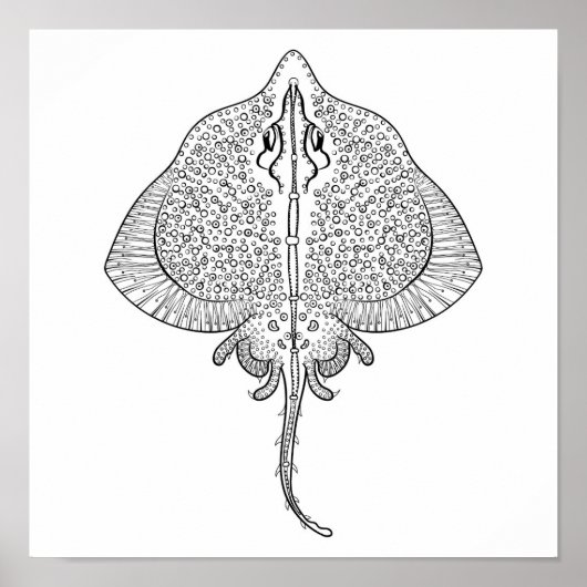 Inspiriert Stingray Totem 2 Poster (Vorne)