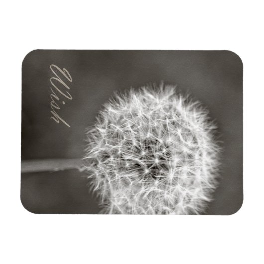 Inspiriert Wish Dandelion Magnet (Horizontal)
