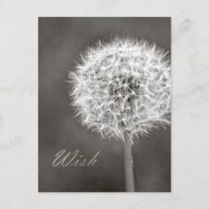 Inspiriert Wish Dandelion Postkarte