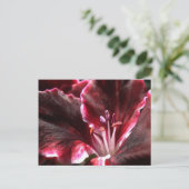 Inspirierte Geranium Postkarte (Stehend Vorderseite)