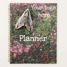 Inspirierte Motte Planer