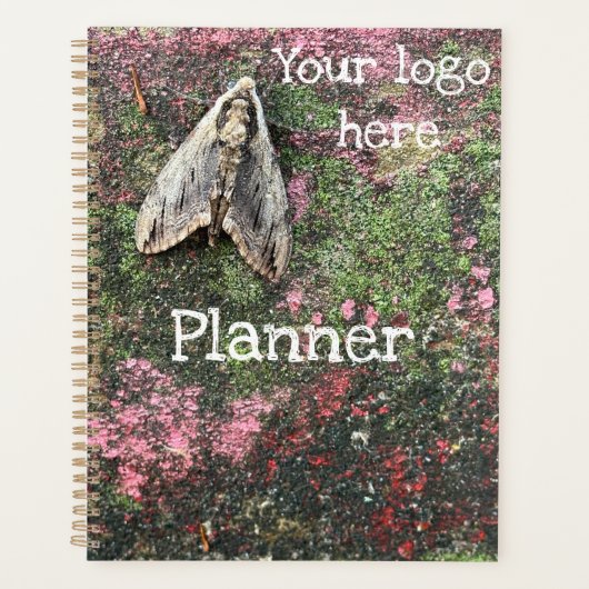 Inspirierte Motte Planer (Vorderseite)