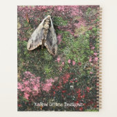 Inspirierte Motte Planer (Rückseite)