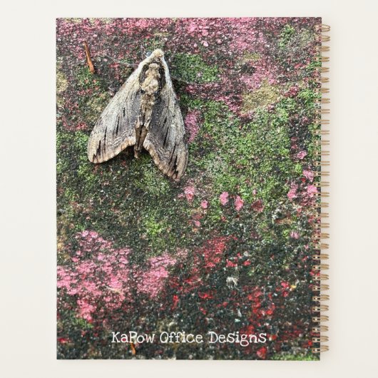 Inspirierte Motte Planer (Rückseite)