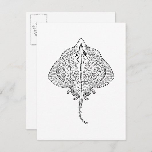 Inspiriertes Stingray Totem Postkarte (Vorne/Hinten)