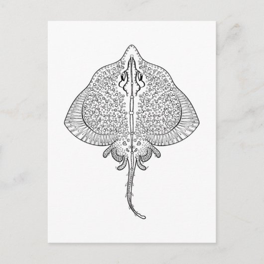 Inspiriertes Stingray Totem Postkarte (Vorderseite)