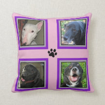 Instagram 4 Foto-Haustier Familie-Lila Rahmen-Rosa