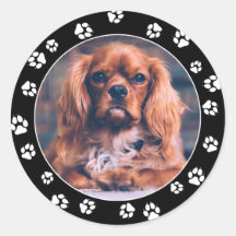 Instagram Foto Whitepaper für Welpentiefsätze