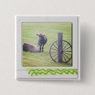 instagram Fotoknopf Button