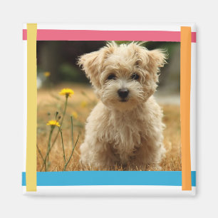 instagram Fotomagnet Magnet