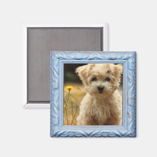 Instagramm-Foto-Magnet Magnet (Vorderseite/Rückseite)