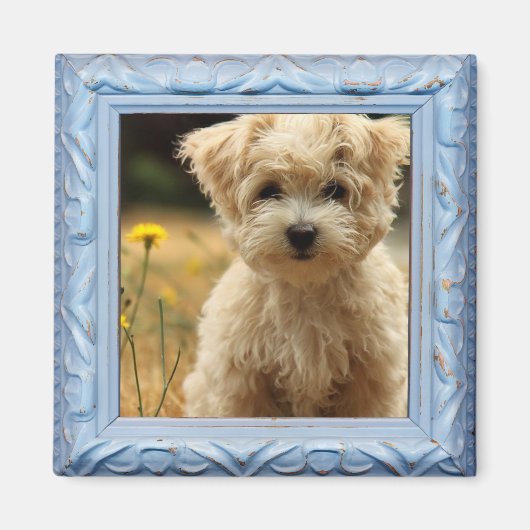 Instagramm-Foto-Magnet Magnet (Vorne)