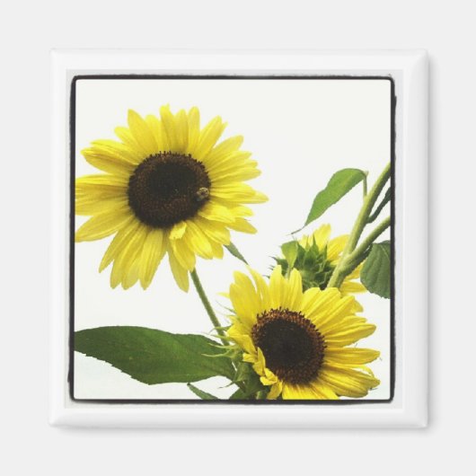 Instagramm-Foto-Magnet Magnet (Vorne)