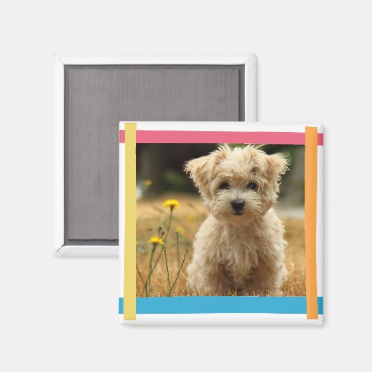 Instagramm-Foto-Magnet Magnet (Vorderseite/Rückseite)